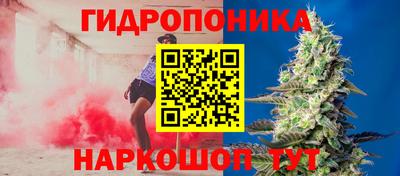 гидра Азнакаево