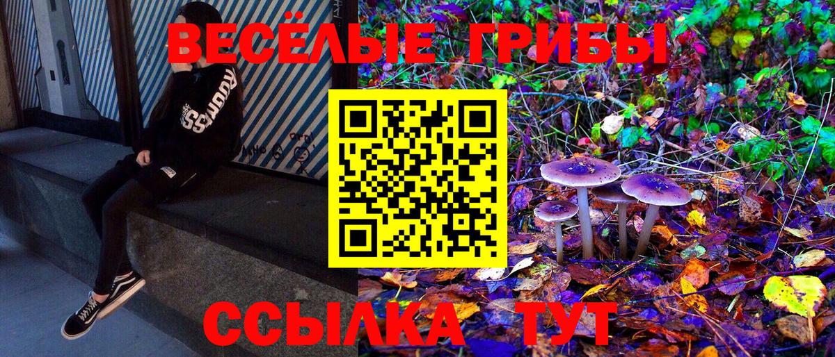 Галлюциногенные грибы мухоморы Амурск