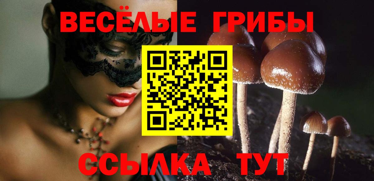 Амурск  Галлюциногенные грибы прущие грибы  Вход с VPN  Галлюциногенные грибы MAGIC MUSHROOMS 